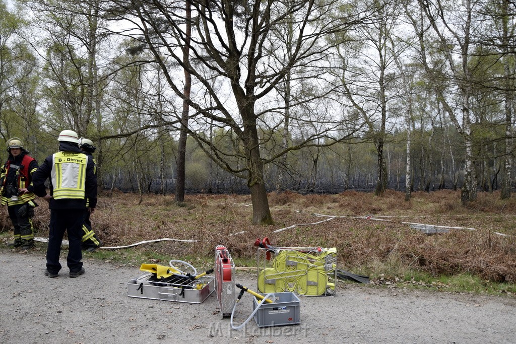 Waldbrand Wahner Heide Troisdorf Eisenweg P084.JPG - Miklos Laubert